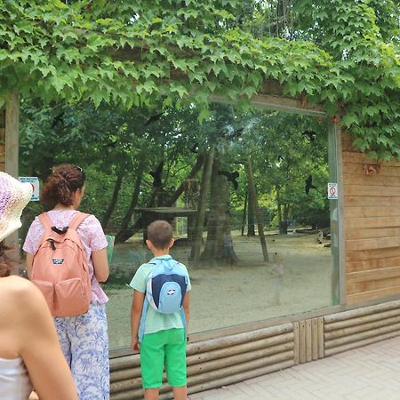 Letizia Lägenhet Lignano Sabbiadoro Exteriör bild